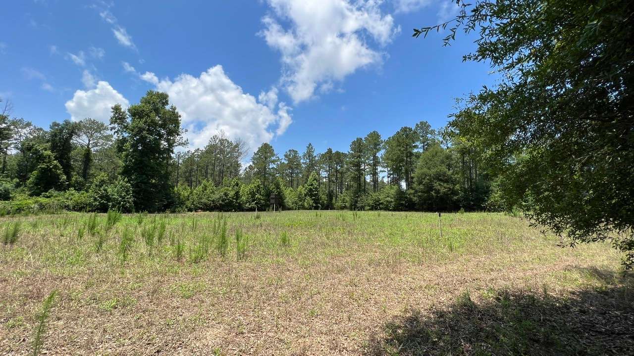 Allied Land & Timber Company, Inc.