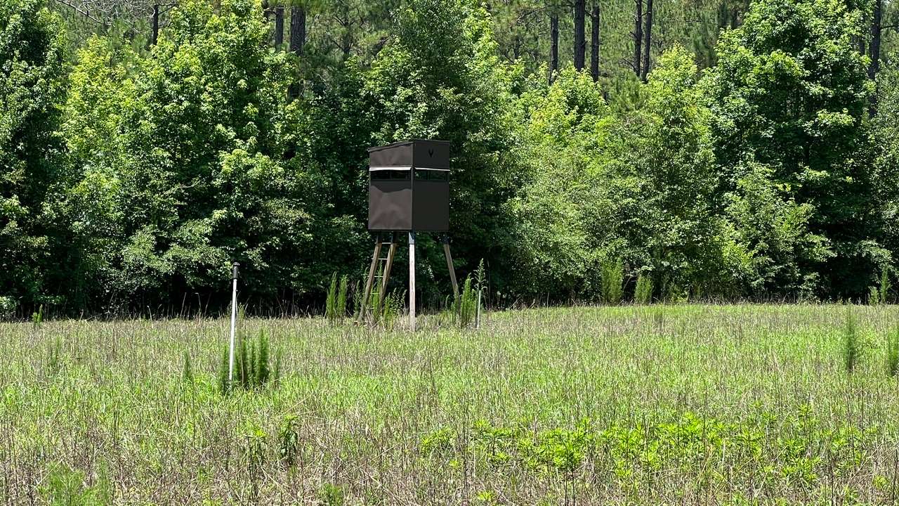 Allied Land & Timber Company, Inc.